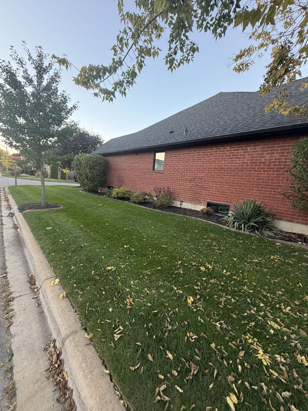 Long side-yard sod lawn along a curb and red-brick bungalow on a Hamilton corner lot