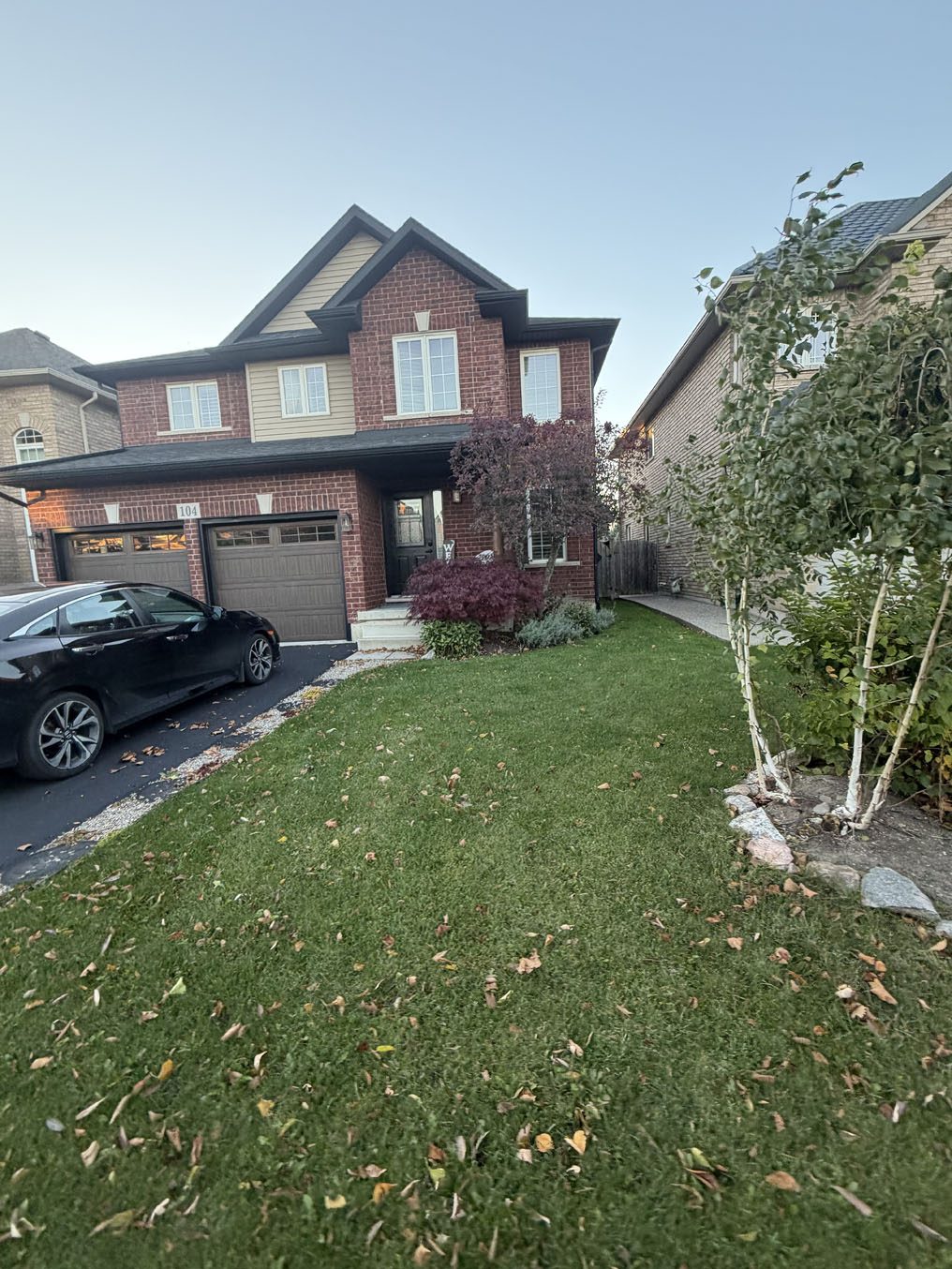 Sloping front lawn edged with river stone and a white birch at a Hamilton home