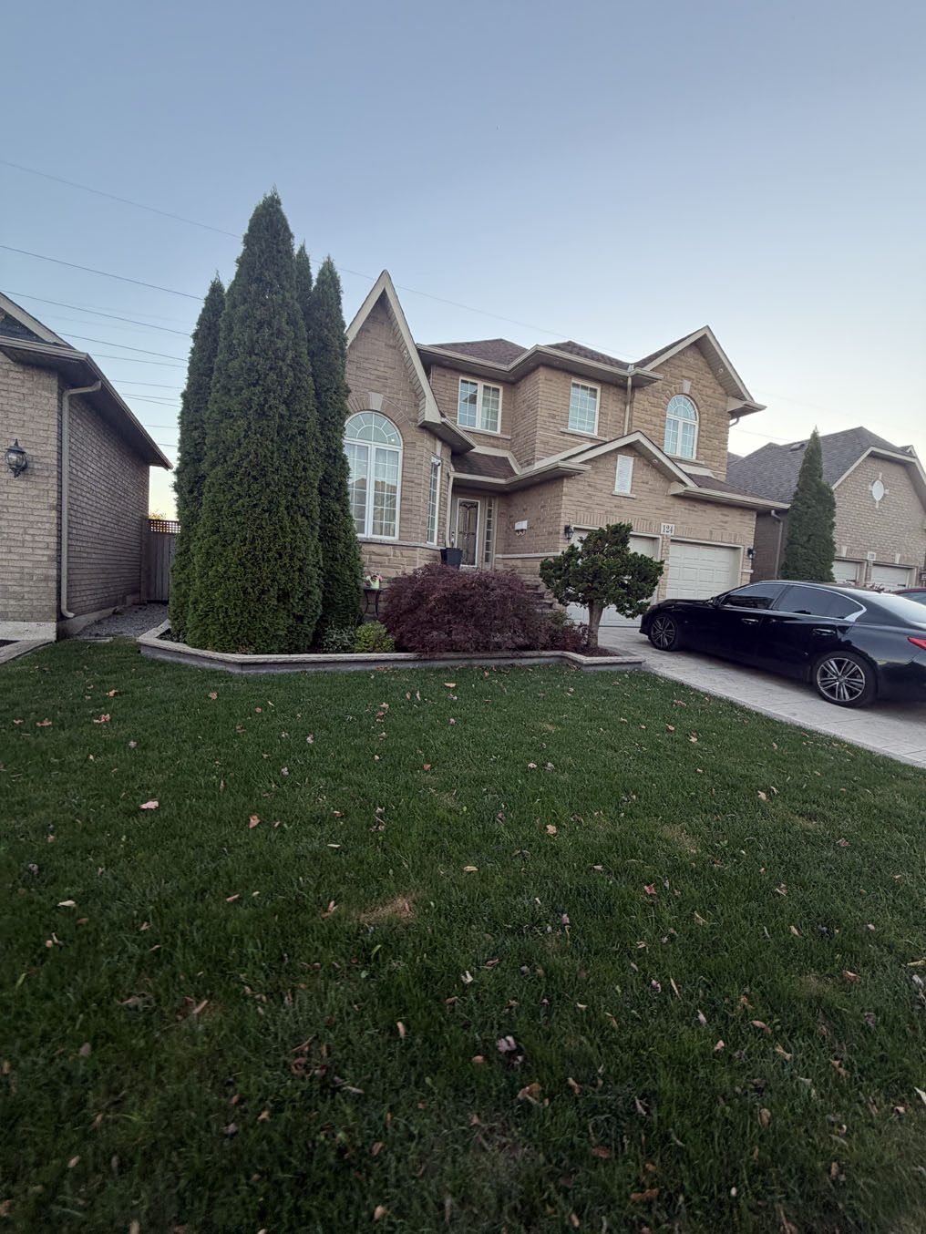 Front lawn framed by tall cedars and a stone-edged bed at a Hamilton house