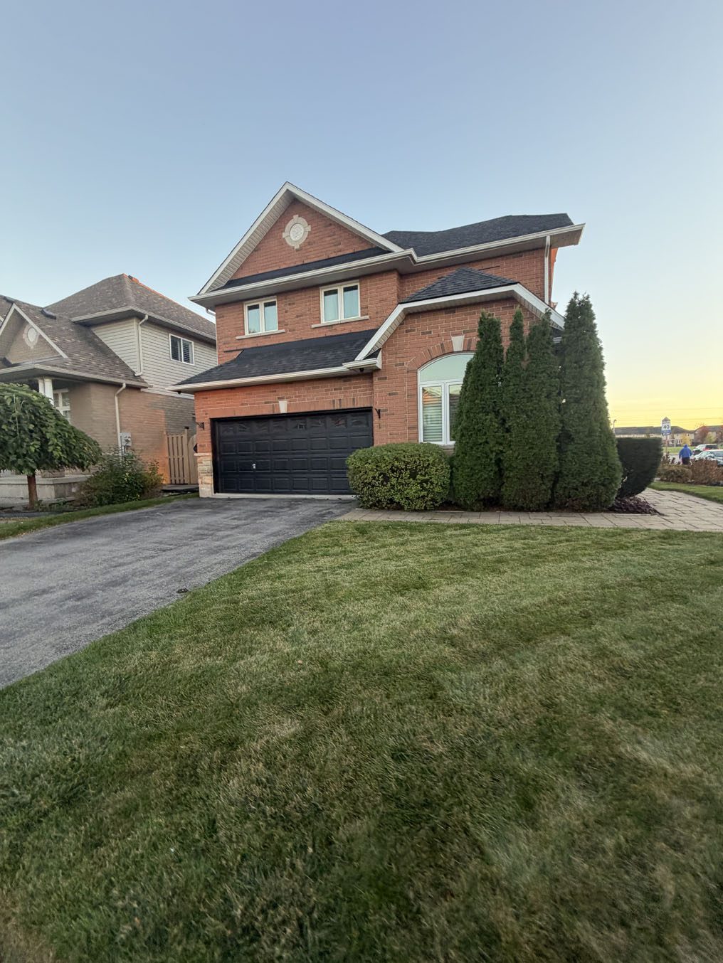 Even sod lawn alongside a driveway at a red-brick home with cedars in Hamilton