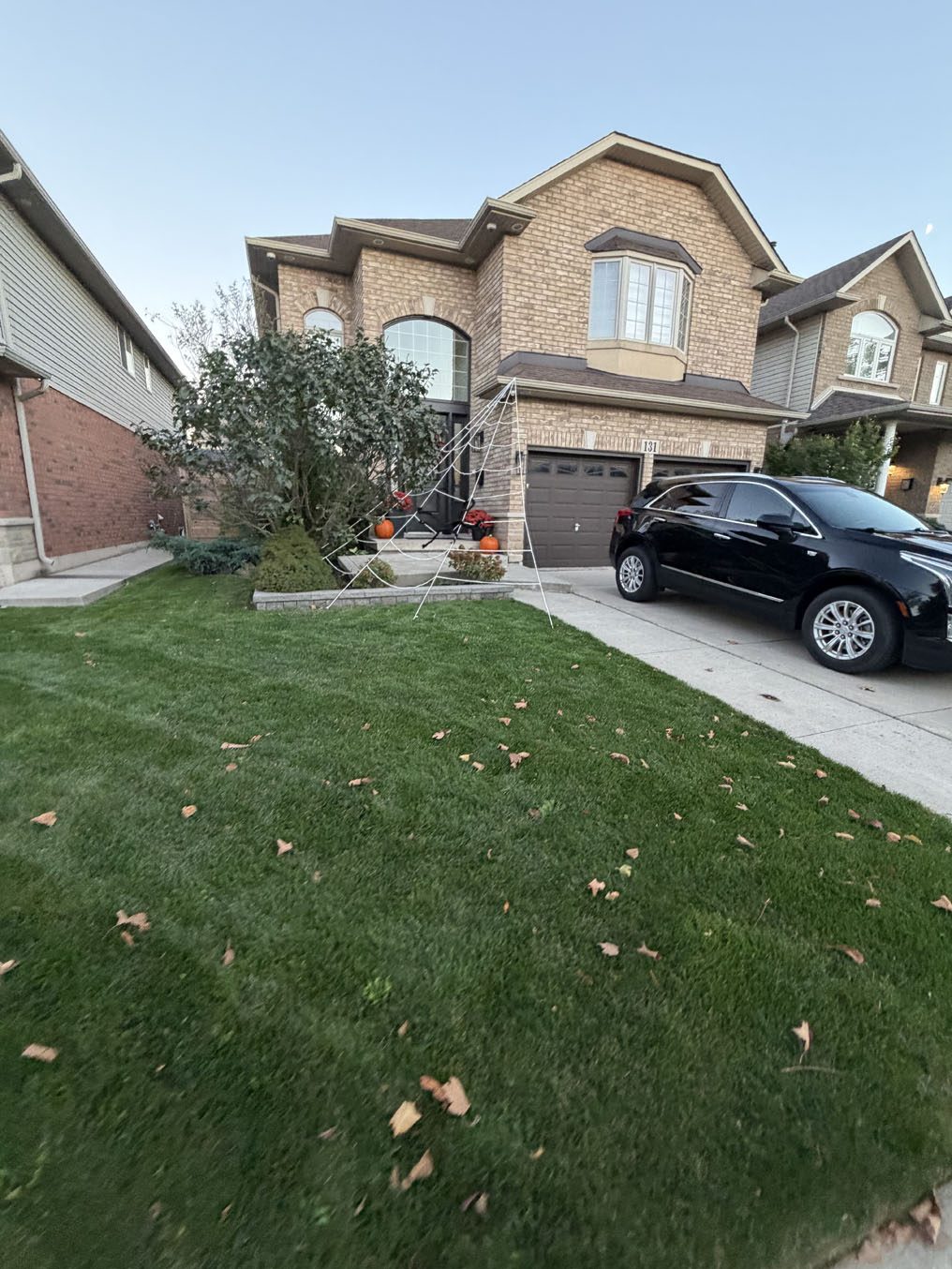 Grown-in sod lawn beside a driveway at a semi-detached home in Hamilton