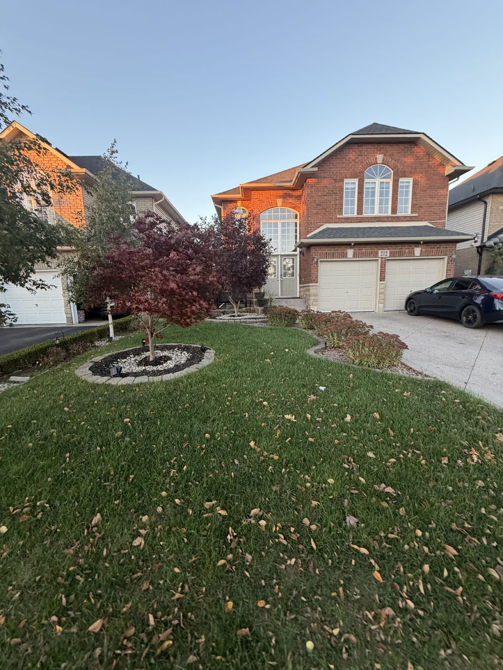 Front lawn with a circular stone tree bed and red maple at a Hamilton home