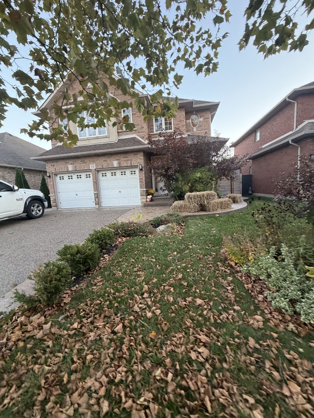 Sloped front lawn covered in fall leaves beside a curved bed in Hamilton